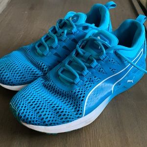 Bright Blue Pumas